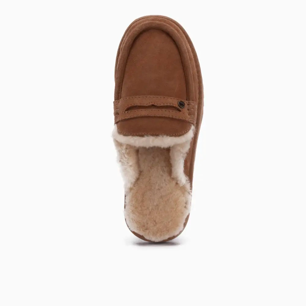 Cowell Men Suède Cognac 2