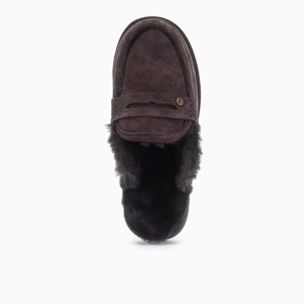 Cowell Men Suède Choco 2