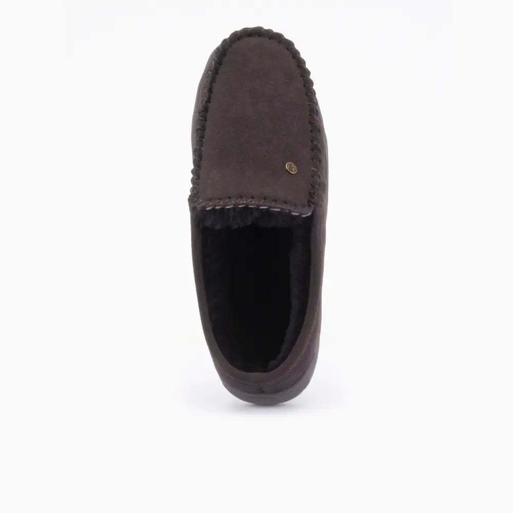 Jabiru Men Suède Choco 2
