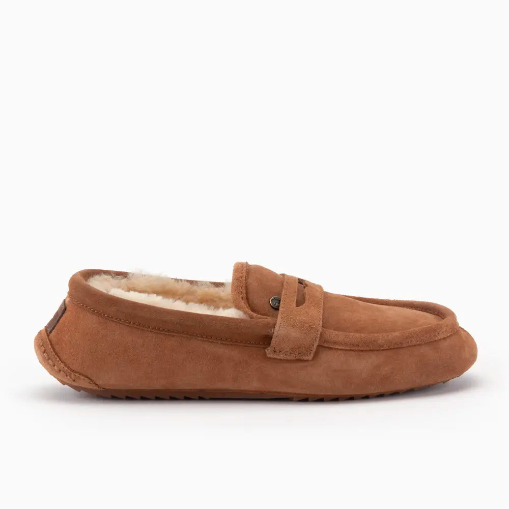 Morwell Men Suède Cognac